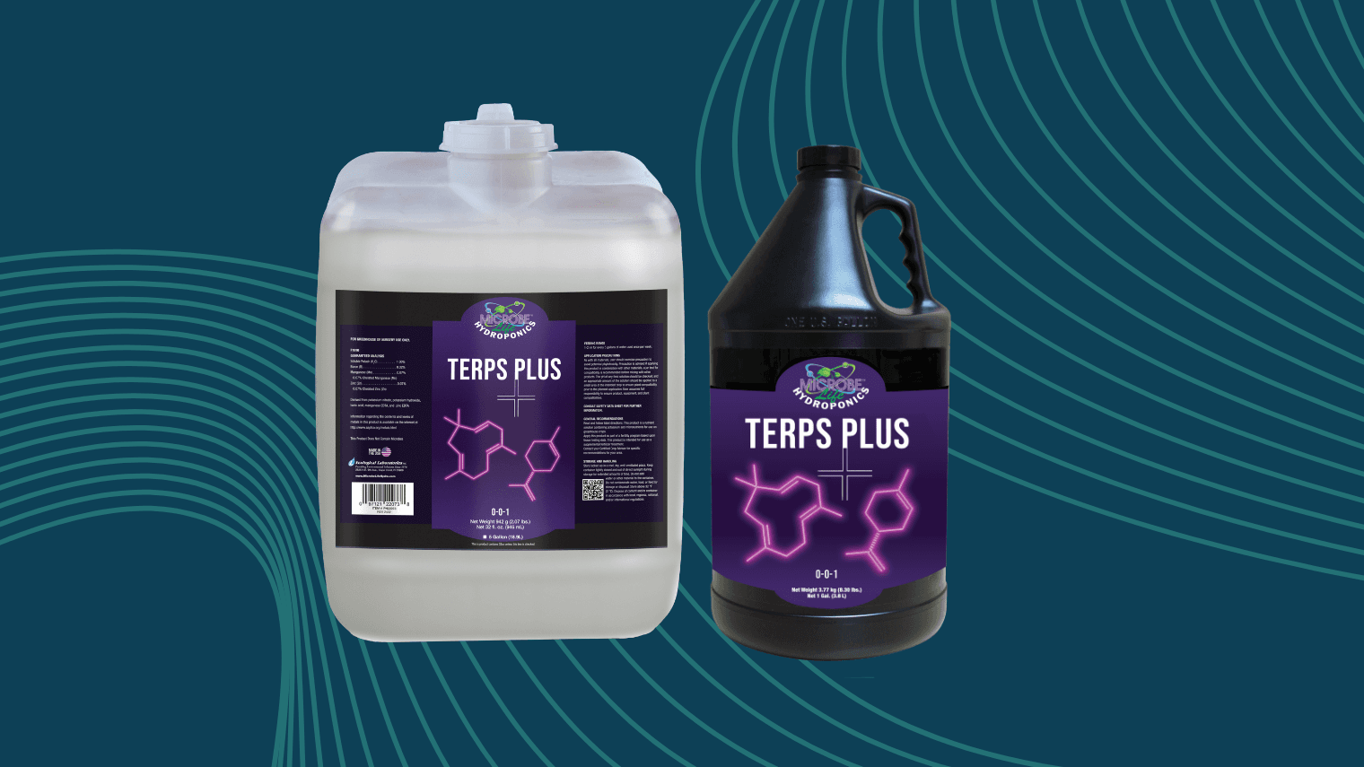 Terps Plus