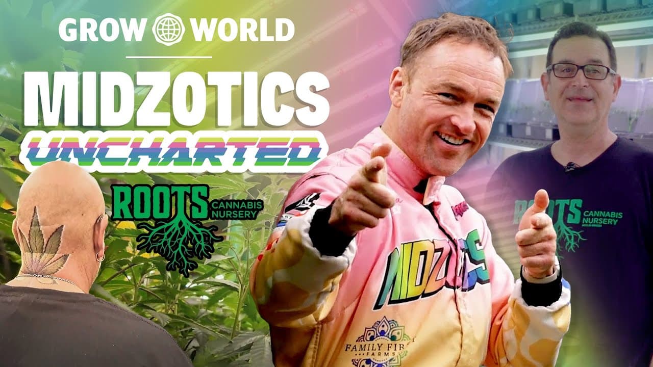 Inside the Nursery: How Roots Cultivates California’s Finest Genetics!