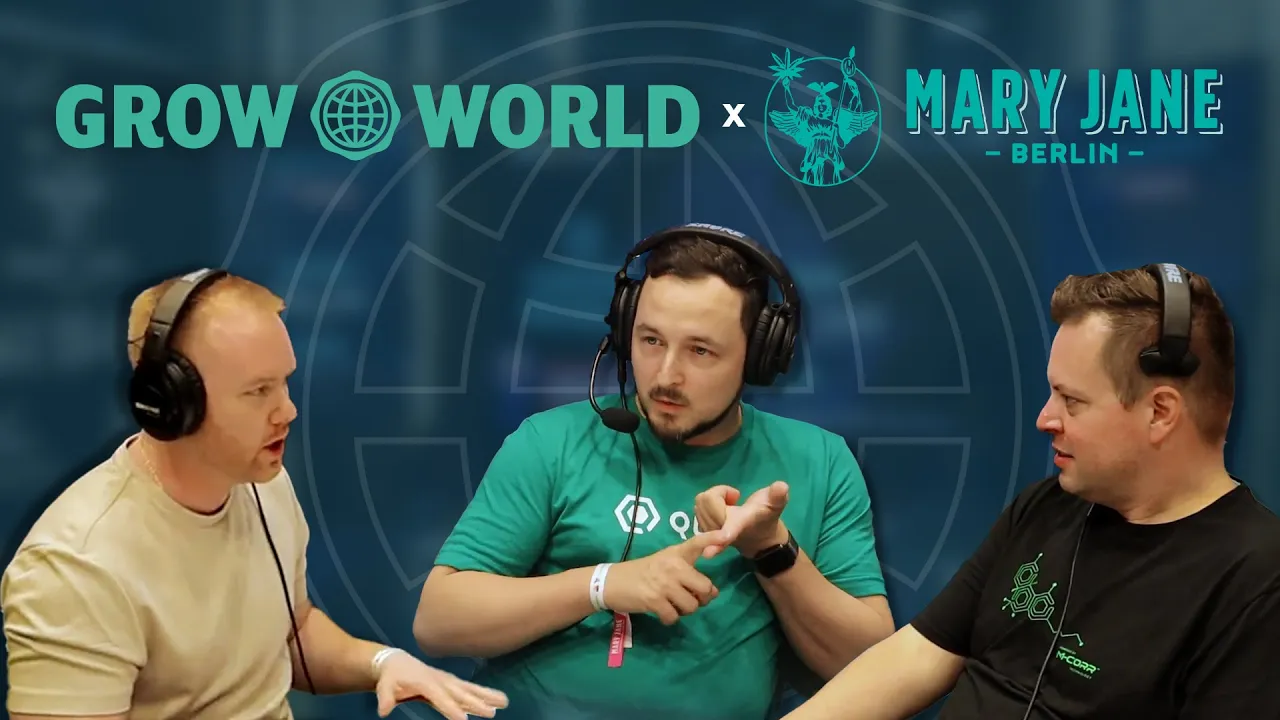 Germany’s Social Club Requirements & Challenges