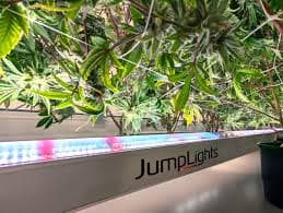 JumpLights