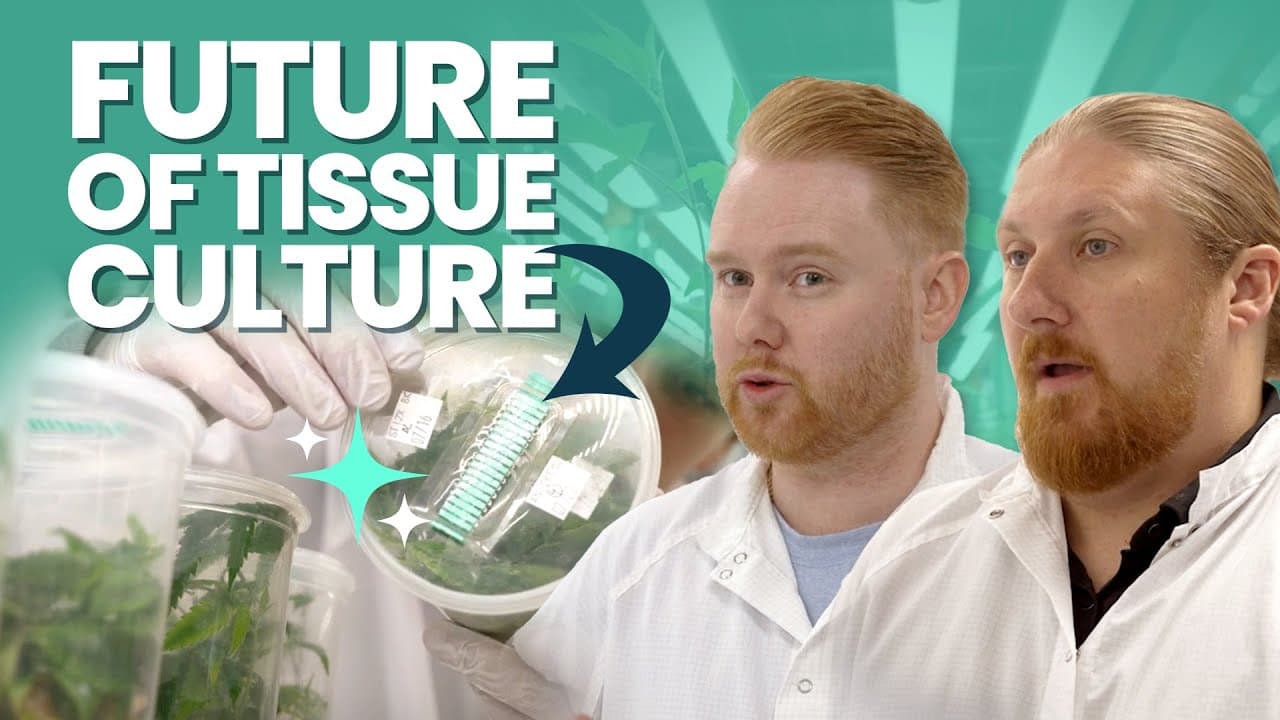 The Future of Tissue Culture