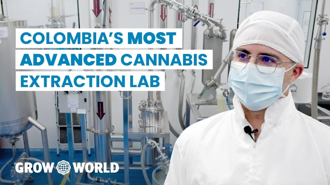 Colombia's Most Advanced Cannabis Extraction Lab - Tarkus Pharmalab