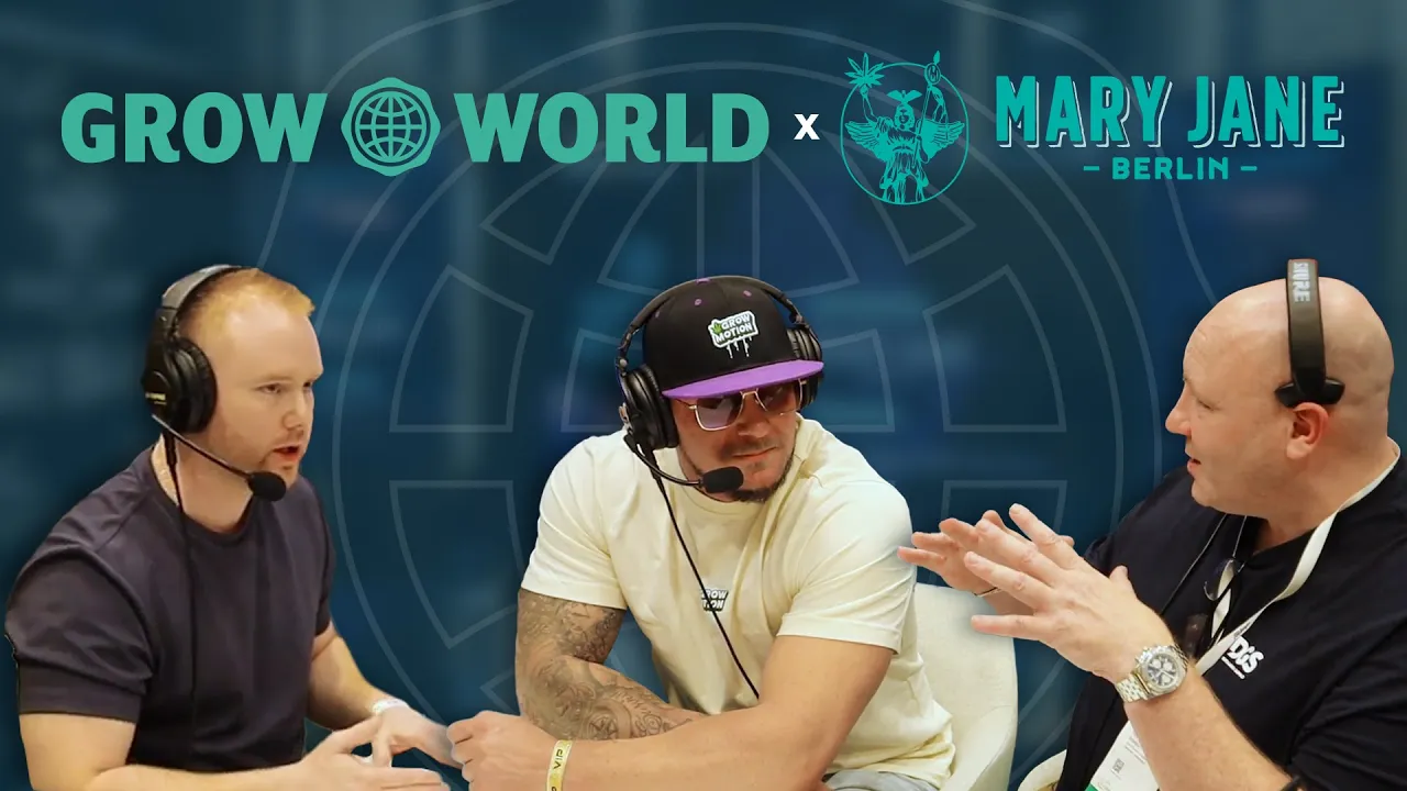 #1 Exporter of Switzerland Flower to Germany