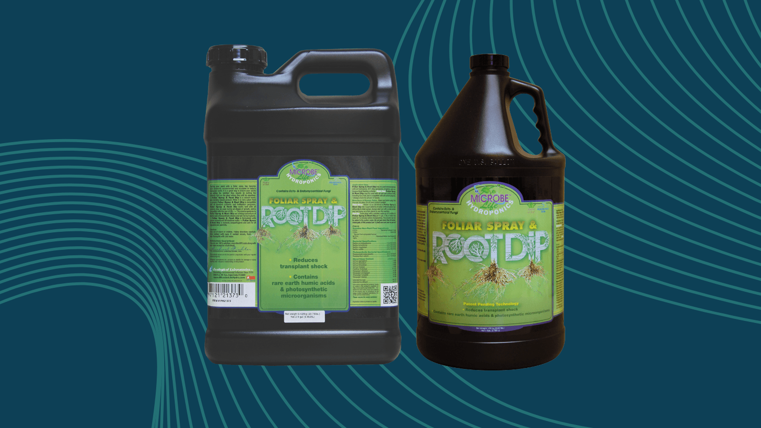 Root Dip