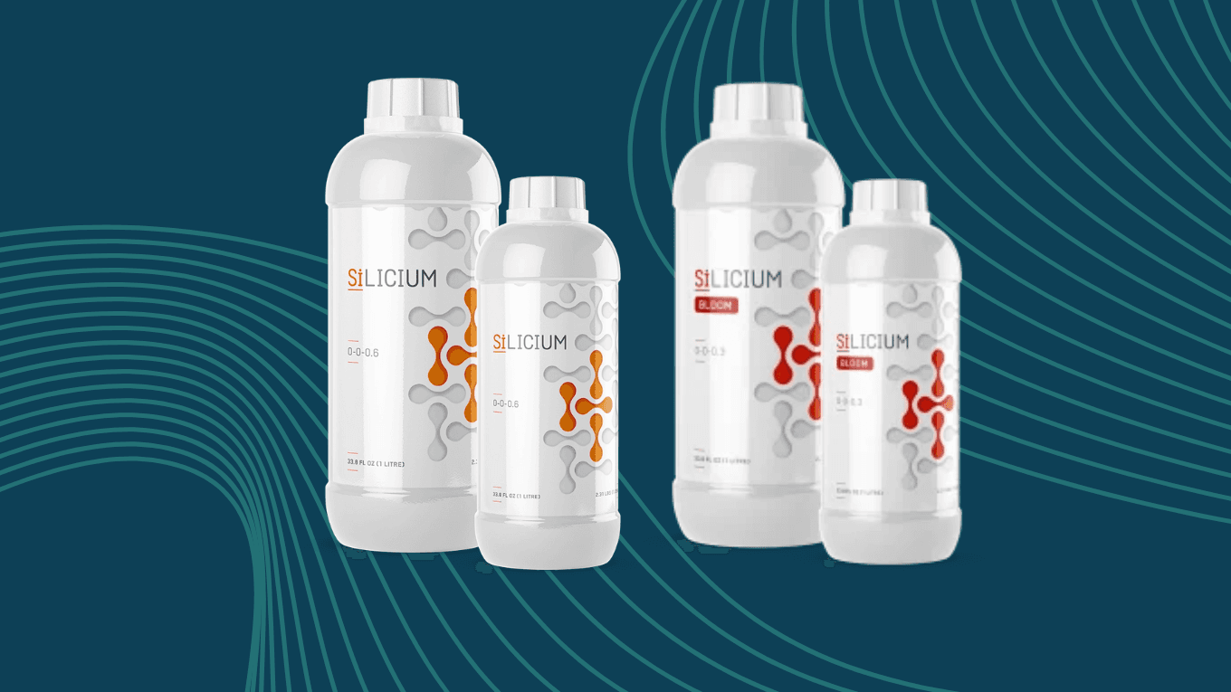 Silicium